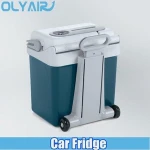 DC/AC Auto-Switch peltier thermoelectric cooler, portable car fridge