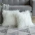 Import Decorative New Luxury Series Style Faux Fur Throw Pillow Case Cushion Cover for Sofa Bedroom Car from China