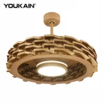 Designer 29 inch decorative ceiling fans smart DC led ceiling fan light remote control bladeless led ceiling fan