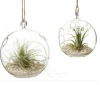 Dia.15cm High quality wholesale Hanging ball clear glass vase for home decor