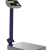 Import Digital S.S  Weighing Machine Platform Scale for Wholesale Weight Scale from China