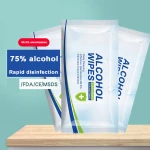 Disposable hotel personal travel hygiene kit