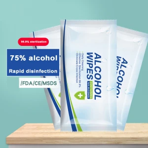 Disposable hotel personal travel hygiene kit