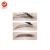 Import Double headed rotating automatic waterproof eyebrow pencil from China