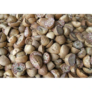 Dried betel nut high quality with cheap price