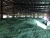 Import Dried light green powder or crystal Heptahydrate Ferrous Sulfate/ferrous sulphate for water treatment, fertilizer from China