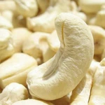 Dried style and raw processing kind CASHEW KERNEL NUTS WW320