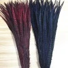 dyed lady amherst pheasant tail feathers in stock