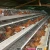 Import Egg Production project Farming A type layer chicken cage for sale from China