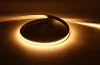 Engineering quality  square 15x15 led neon light strip 24V10W 5 Years warranty
