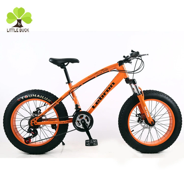 Chopper mountain top bike