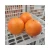 Import Factory direct sales of sweet and juicy fresh citrus oranges with high nutritional value from China
