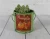 Import Factory direct thanksgiving day galvanized iron small bucket succulent flower bucket  iron flowerpots home garden supplies from China