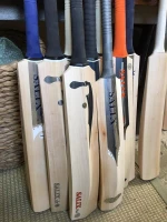 factory new custom wooden cricket bat OEM outdoor sport games Baseball gentlemans game Pakistan Suppliers