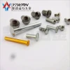 Factory Non Standard Cold Forging CNC Machining Pancake Head Screw and Pop Rivets