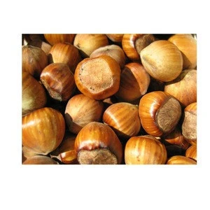 FACTORY SALE AGRICULTURAL NUTS AND KERNELS HAZELNUTS FOR SALE