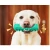 Import Factory wholesale soft material indestructible dog toy eco friendly dog toys dog toys puppy squeaky from China