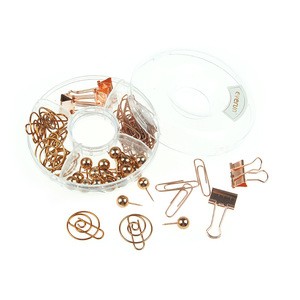 Fancy design 5 in 1 rose gold office pina/clips set