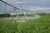 Import Farm Center Pivot Irrigation System With Free Design Service from China