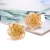 Import Fashion Cheap Jelly Gold Foil Rose Flower Stud Earrings for Women from China