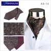 Fashion Mens 100% Silk Cravat
