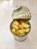 Fast Delivery Pineapple in can- Sliced, pieces pineapple in syrup from Vietnam