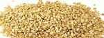feed barley for sale