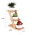 Import Flower Rack Shelf Bamboo Wood Flower Display Pot Rack Plant Stand For Plant Shop from China