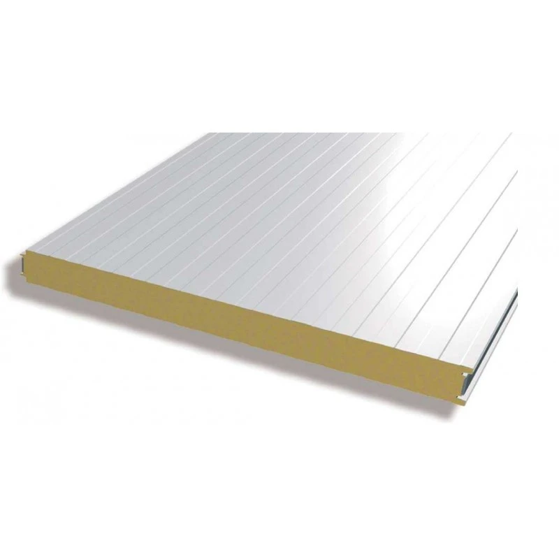 Foam Sandwich Panel Cold Room Polyurethane Insulated Pu with Great Price