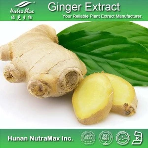 Food Grade Benefits of Ginger Powder/Liquid Ginger Extract 6-Gingerol