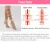Import FREE SAMPLE medical hosiery grade two calf compression socks for varicose veins from China