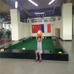 Free Shipping the best selling Solid Wood 9ft Goden high quality billiard pool snooker games table