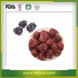 Freeze Dried Fruits Bulk Blackcurrant Raspberry Strawberry And Blueberry Wholesale Dried Berries