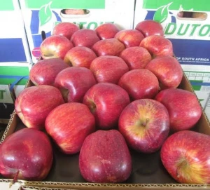 Fresh Apples ( Fuji,Gala,Red,Delicious Apples)