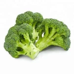 Fresh Broccoli / Quality Broccoli / Broccoli Wholesale Price