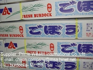 Fresh Burdocks From Taiwan Origin