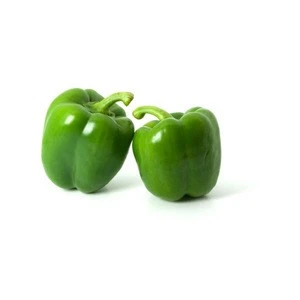 fresh capsicum with high quality