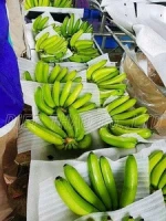 FRESH CAVENDISH BANANA FOR SALE
