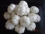 Import fresh china garlic in bulk from China