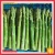 Import Fresh Dried Freeze Asparagus from China