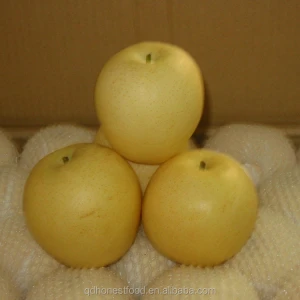 Fresh farm natural and pollution-free pears export best quality with cheap price