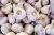 Import Fresh Garlic from Thailand