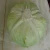 Import Fresh green round cabbage from China