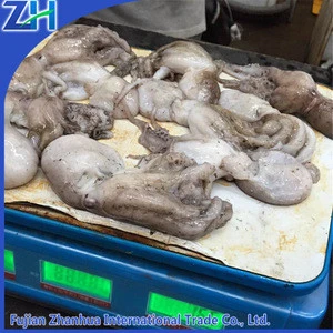 fresh live frozen octopus/ seafood baby octopus wholesale price