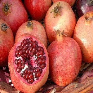 Fresh Pomegranates from South Africa available now