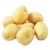 fresh potato export price is competitive