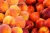 Import Fresh Red Sweet Peaches Supplier from Ukraine