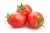 Import Fresh tomatoes /plum / cherry from Vietnam