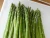 Import FRSEH/FROZEN ASPARAGUS from Canada