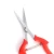 Import FS004    stainless steel  small fruit tree cutting pruning garden scissors from China
